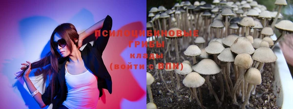 мет Заводоуковск