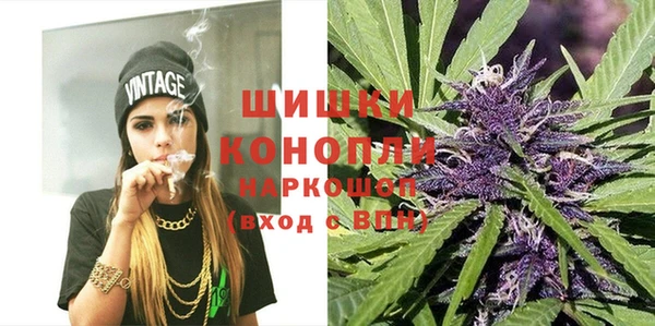 ПСИЛОЦИБИНОВЫЕ ГРИБЫ Болхов