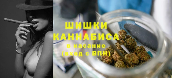 ПСИЛОЦИБИНОВЫЕ ГРИБЫ Болхов