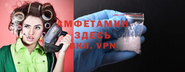 шишки Болотное
