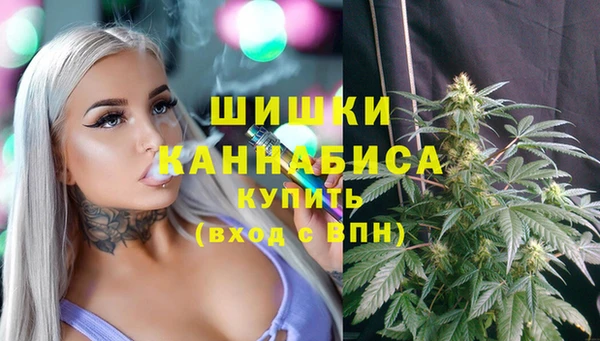 мет Заводоуковск