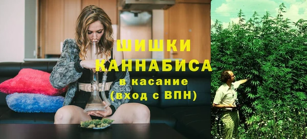 PSILOCYBIN Заволжье